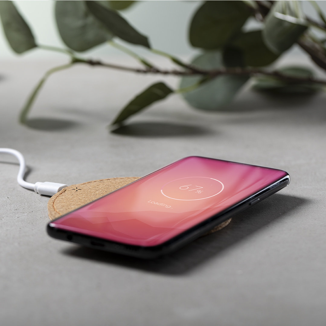 Ladegerät Kibox 7 Ladegerät Kibox – Bild 5