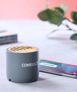 Lautsprecher Piler 13 6700 D4