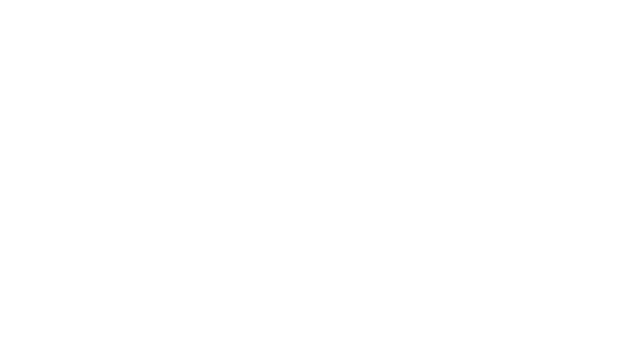 Skross