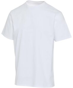 Lucas T-Shirt in Übergröße aus recycelter 260 g/m2 Bio Baumwolle (OCS) unisex