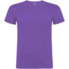 Irisches Violett