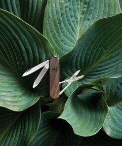 VICTORINOX Pocket Knife Classic SD Wood 5 Funktionen 9 VICTORINOX Pocket Knife Classic SD Wood 5 Funktionen – Bild 4