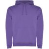 Irisches Violett
