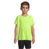 Neon Yellow