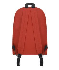 Rucksack Discovery – Bild 3