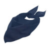 French Navy