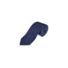 French Navy