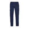 Navy Pro